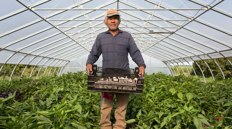 Farm Worker canada